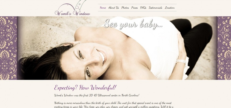 3D 4D Ultrasound Business