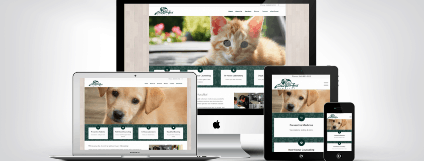 Central Veterinary Hospital 1 Central Veterinary Hospital